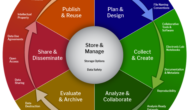 The data lifecycle shown as a continuous cycle.