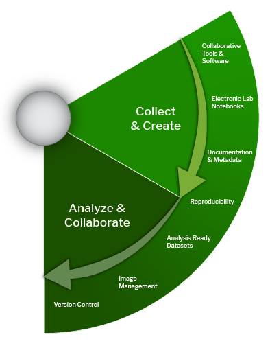 Customer Data Analysis – How to Analyse Data in 7 Steps