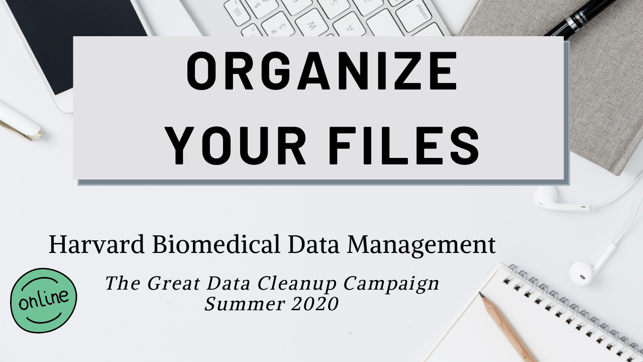 Organize Your Files
