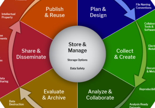 The data lifecycle shown as a continuous cycle.