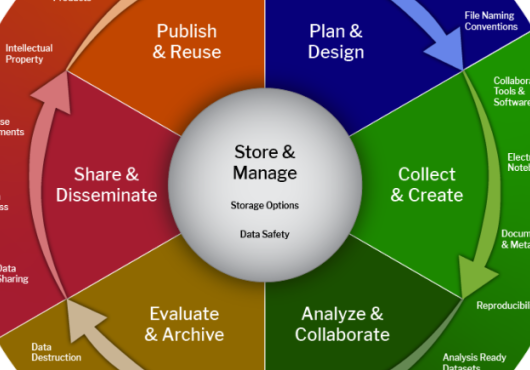 The core stages of the research lifecycle as a continuous wheel.