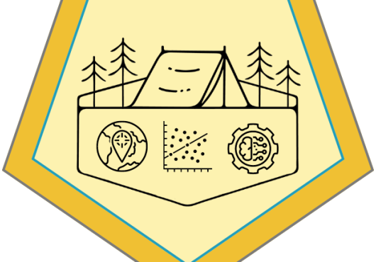 Summer Camp Data Management Logo.