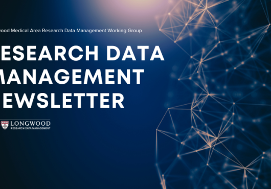 Research Data Management Newsletter banner has a dark blue background with an abstract image of a neural network concept