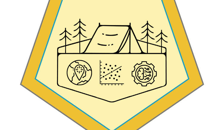 Summer Camp Data Management Logo.