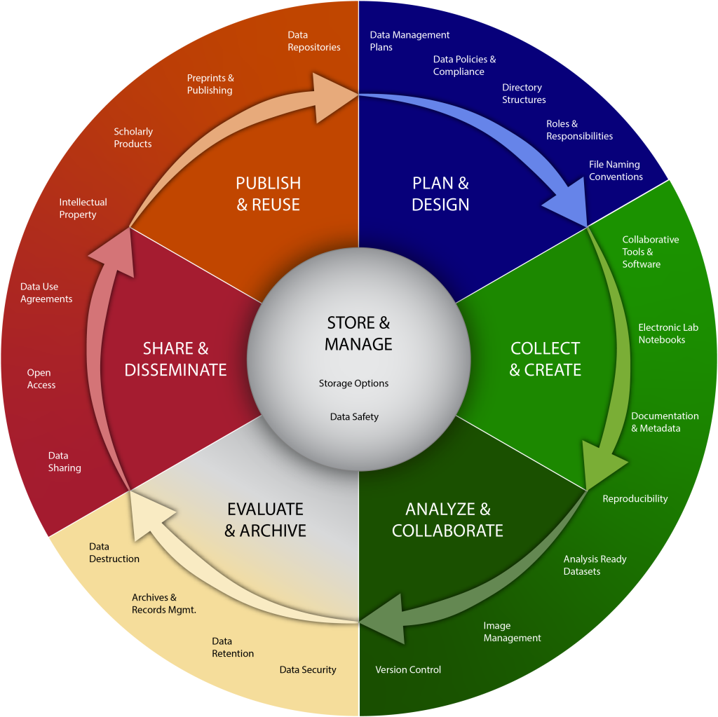 Biomedical data lifecycle wheel with second tier item detail